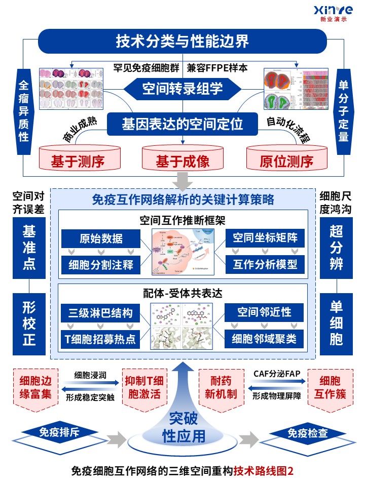 53-1技术路线图（免疫细胞互作网络-红蓝灰）第3页预览图