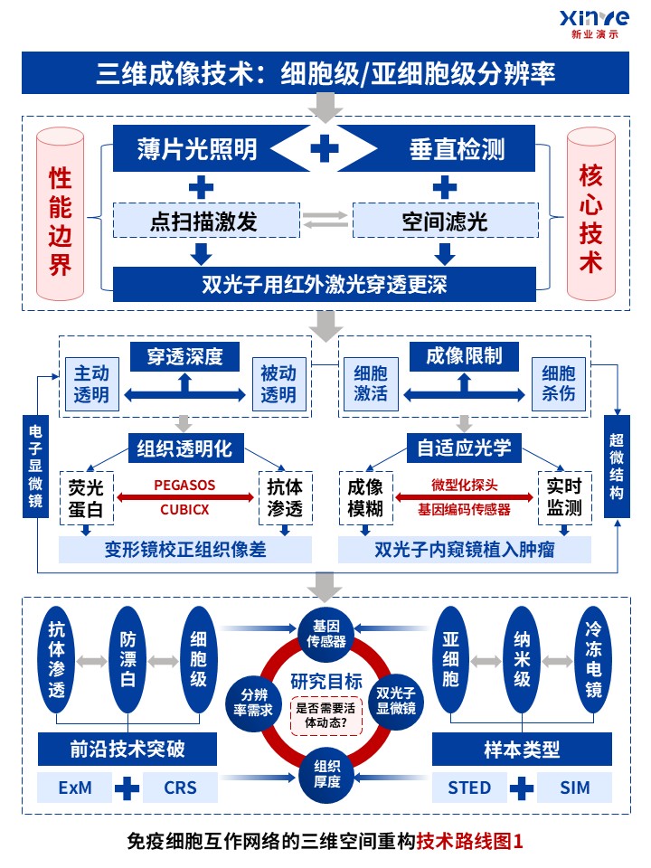 53-1技术路线图（免疫细胞互作网络-红蓝灰）第4页预览图