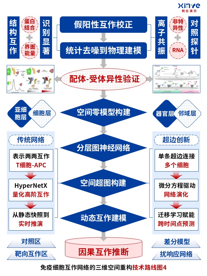 53-1技术路线图（免疫细胞互作网络-红蓝灰）第5页预览图
