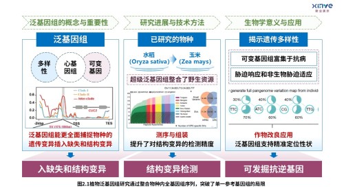 8-1技术路线图(迈向气候智能型育种-蓝紫绿)