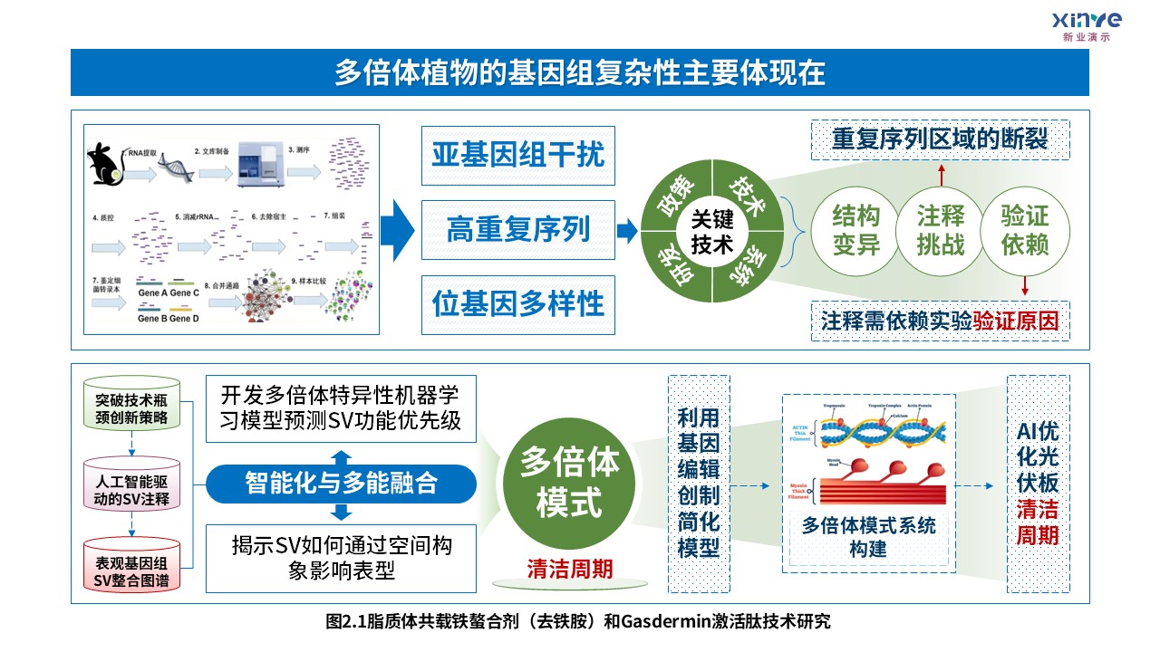 8-1技术路线图（迈向气候智能型育种-蓝紫绿）第2页预览图