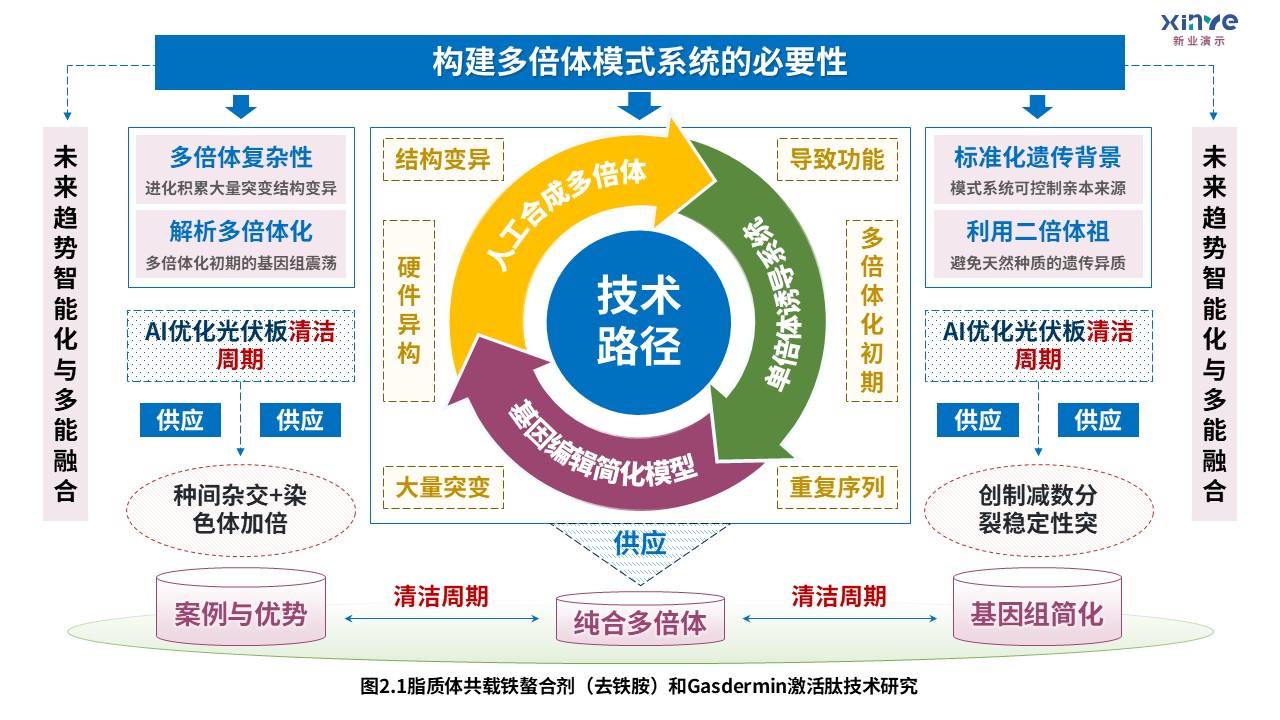 8-1技术路线图（迈向气候智能型育种-蓝紫绿）第3页预览图