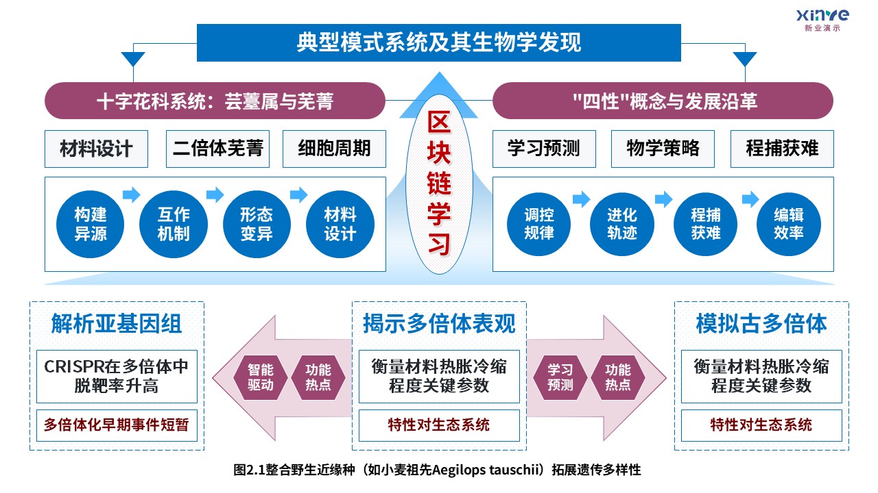 8-1技术路线图（迈向气候智能型育种-蓝紫绿）第4页预览图