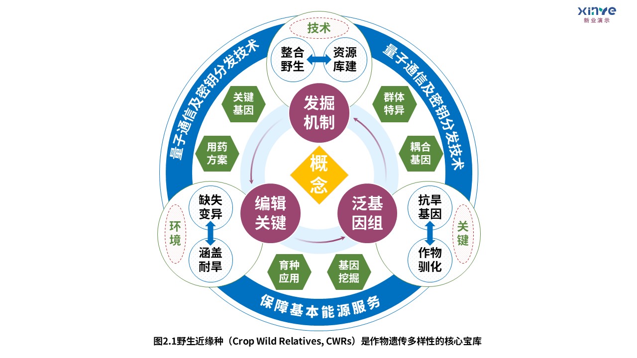 8-1技术路线图（迈向气候智能型育种-蓝紫绿）第5页预览图