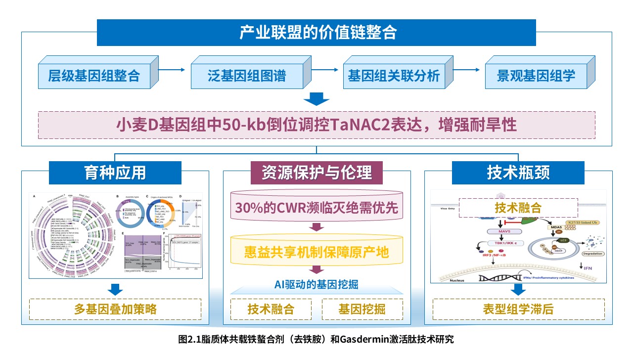 8-1技术路线图（迈向气候智能型育种-蓝紫绿）第6页预览图