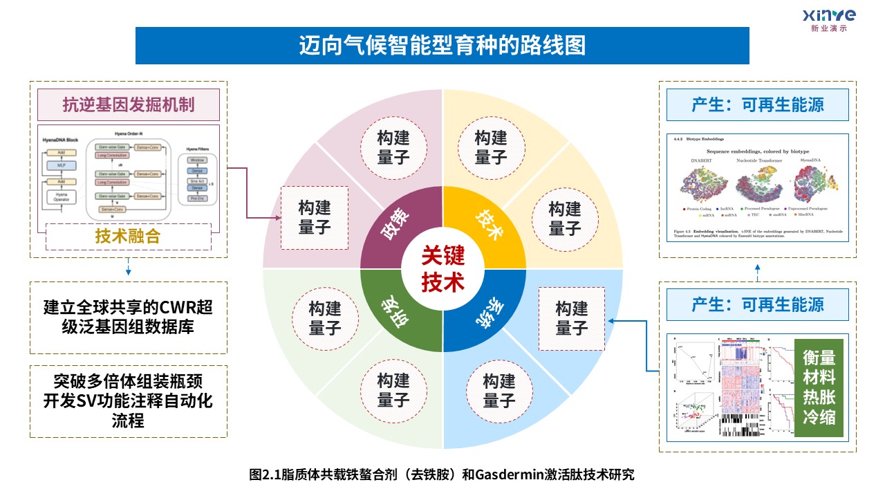 8-1技术路线图（迈向气候智能型育种-蓝紫绿）第7页预览图