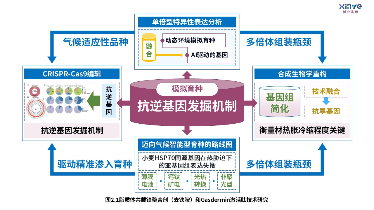 8-1技术路线图（迈向气候智能型育种-蓝紫绿）第8页预览图