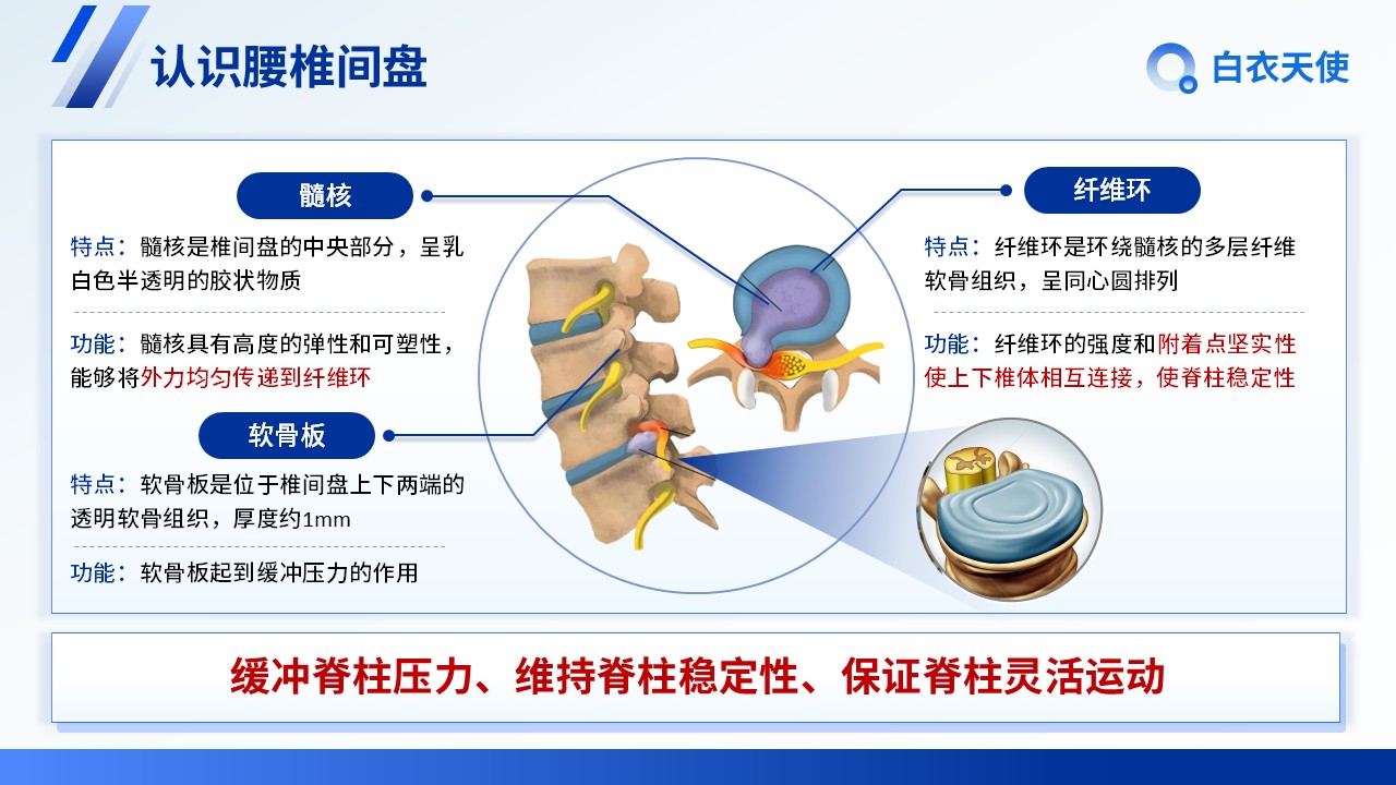 25-腰间盘突出健康宣教第4页预览