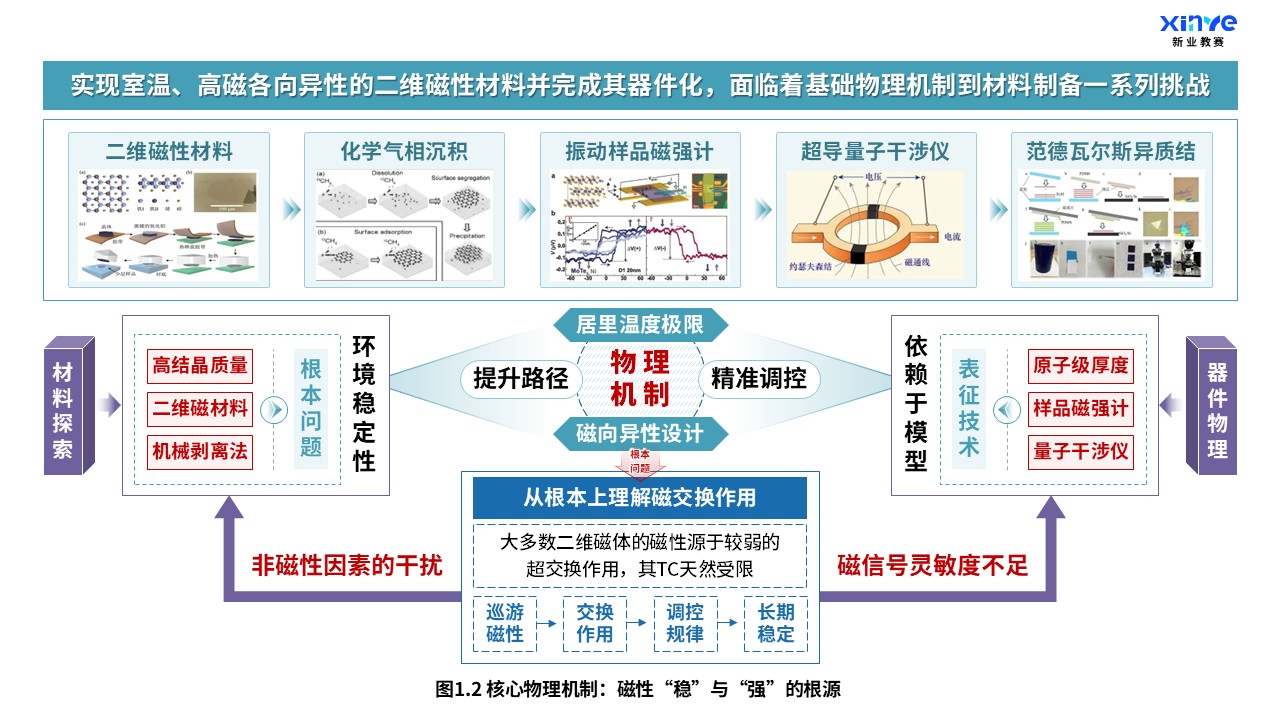 30-2科研架构图(新型二维磁性材料-绿紫蓝）第2页预览图