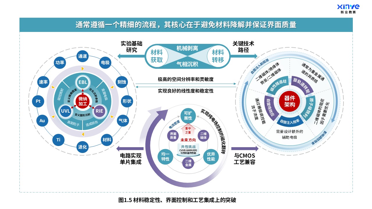 30-2科研架构图(新型二维磁性材料-绿紫蓝）第5页预览图