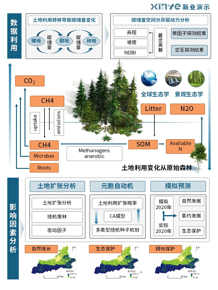 31-1科研绘图(碳循环-蓝色)第1页预览图