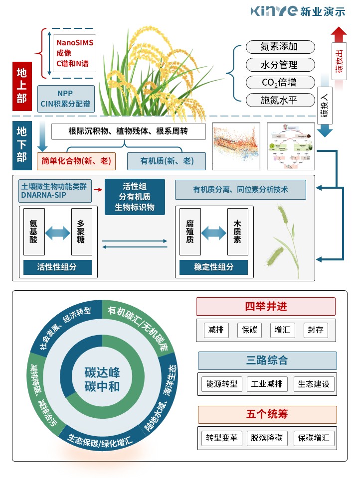 31-1科研绘图(碳循环-蓝色)第2页预览图