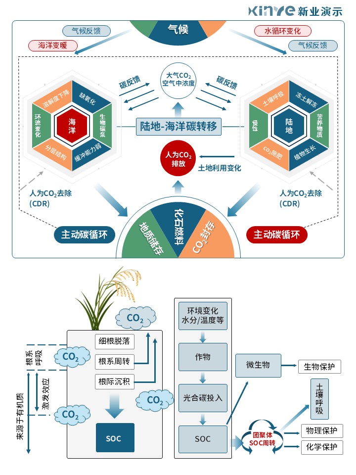 31-1科研绘图(碳循环-蓝色)第3页预览图