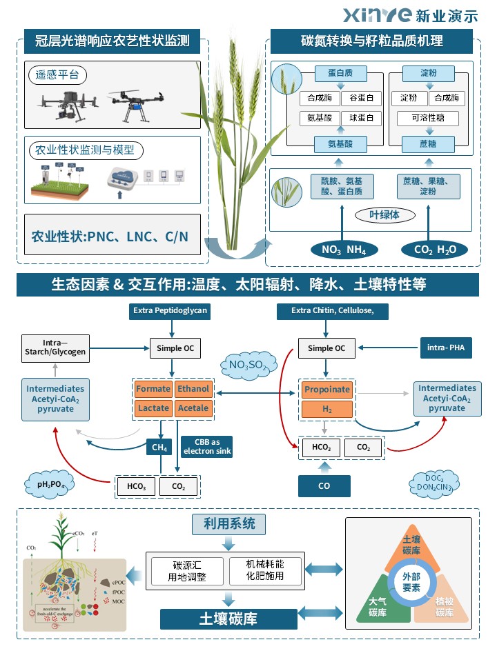 31-1科研绘图(碳循环-蓝色)第4页预览图