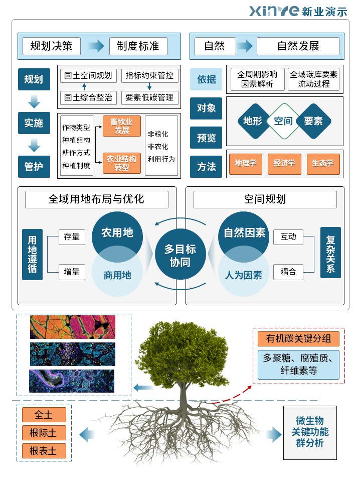 31-1科研绘图(碳循环-蓝色)第5页预览图