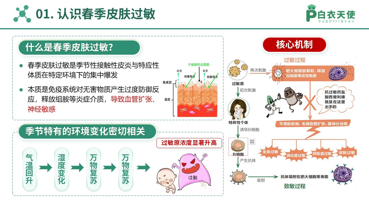 78-春季皮肤过敏护理指南第3页预览