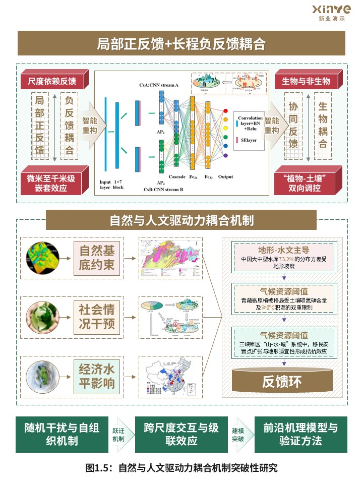 45-2科研架构图（宏观生态系统空间格局-棕绿）第5页预览图