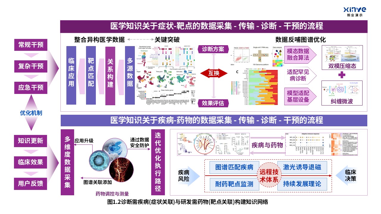 32-2科研架构图（医学知识图谱中的疾病-紫红蓝）第2页预览图