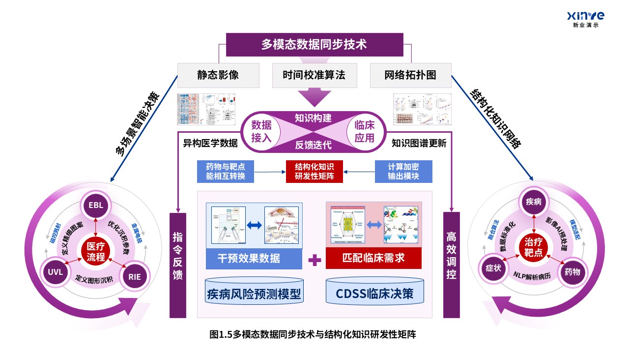 32-2科研架构图（医学知识图谱中的疾病-紫红蓝）第5页预览图