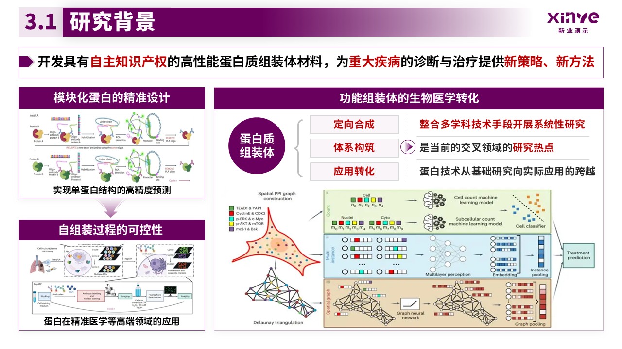 副教授职级评选（模块化蛋白的合成与应用-紫色）第10页预览图