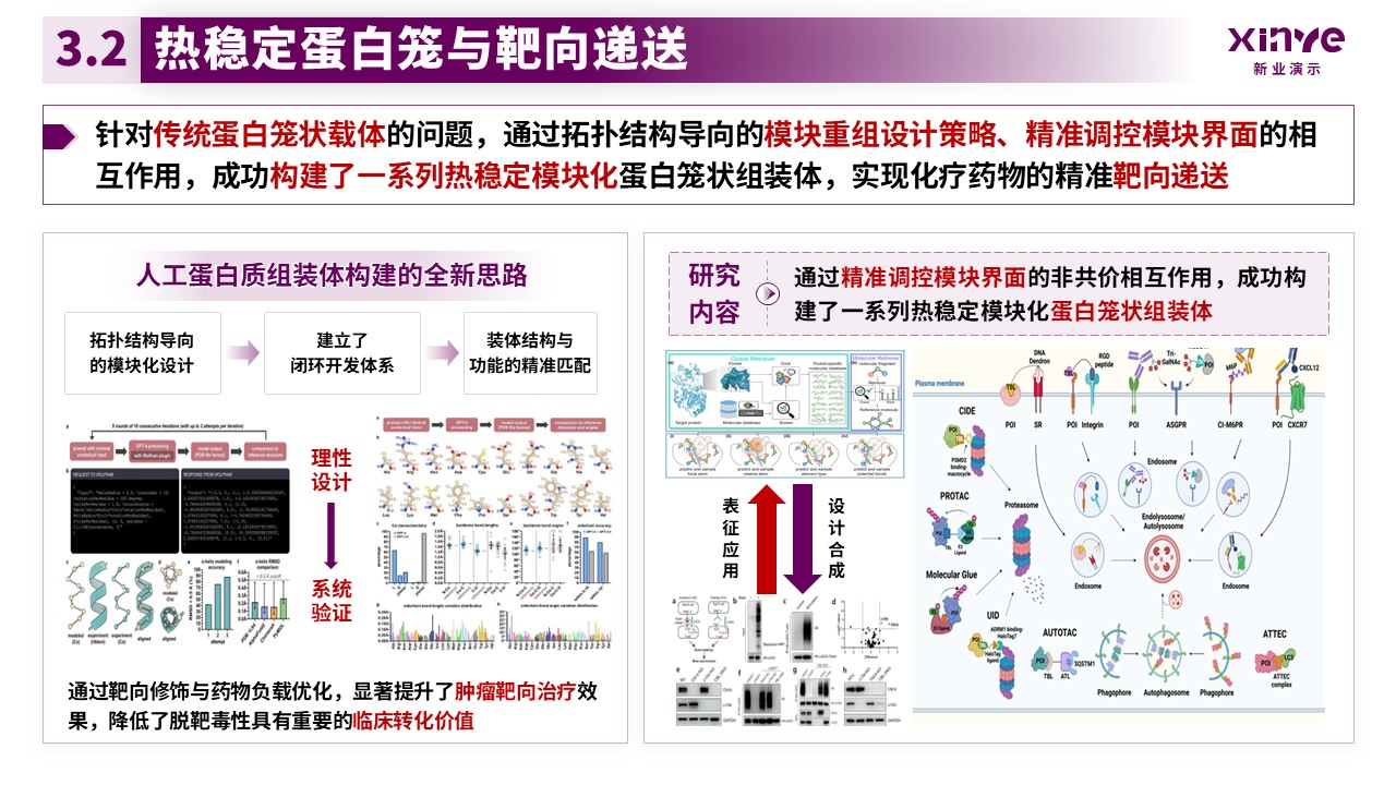 副教授职级评选（模块化蛋白的合成与应用-紫色）第11页预览图