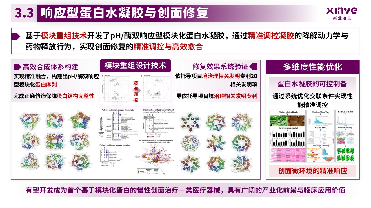 副教授职级评选（模块化蛋白的合成与应用-紫色）第12页预览图