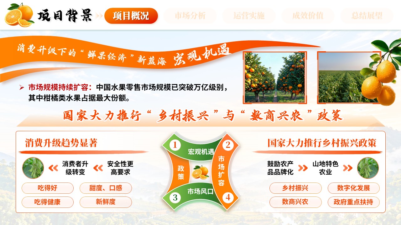 《橙耀山乡，鲜达万家》全国高校商业精英挑战赛第3页预览图