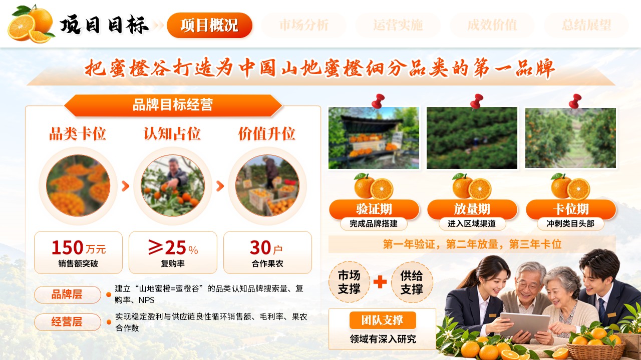 《橙耀山乡，鲜达万家》全国高校商业精英挑战赛第4页预览图