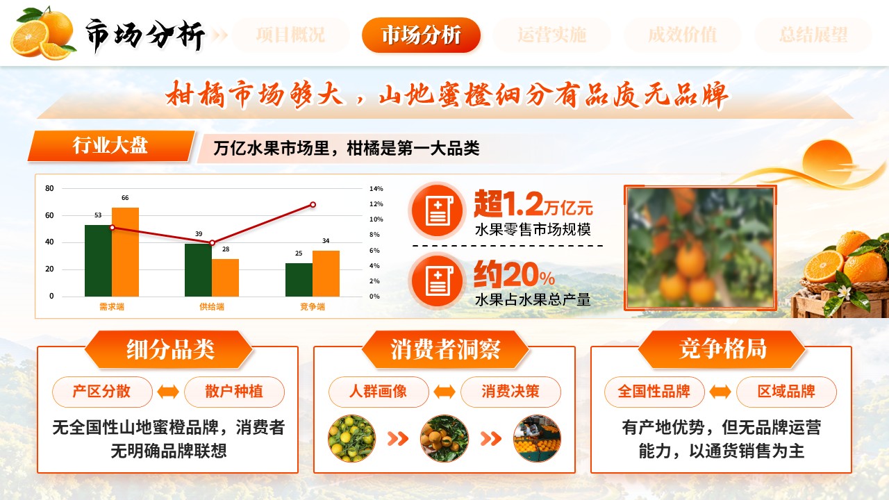 《橙耀山乡，鲜达万家》全国高校商业精英挑战赛第5页预览图