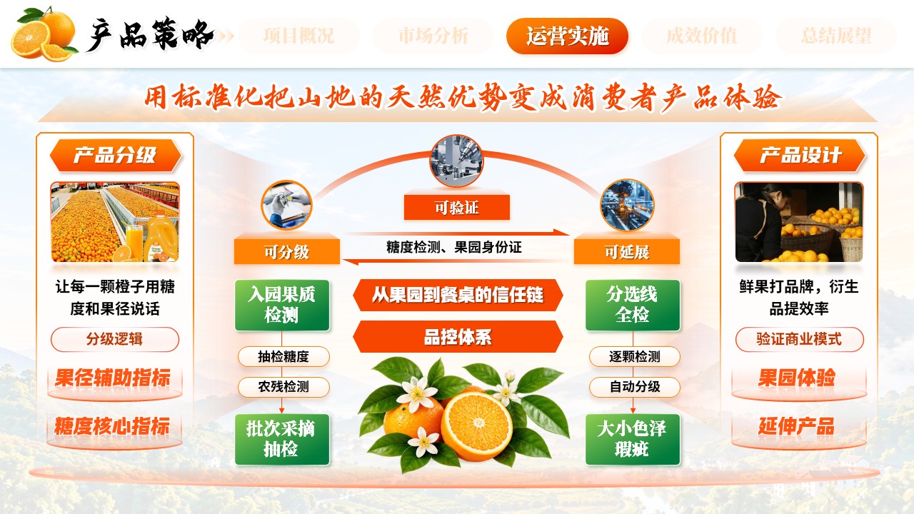 《橙耀山乡，鲜达万家》全国高校商业精英挑战赛第6页预览图
