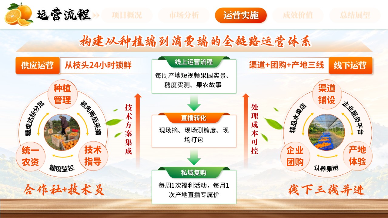 《橙耀山乡，鲜达万家》全国高校商业精英挑战赛第7页预览图