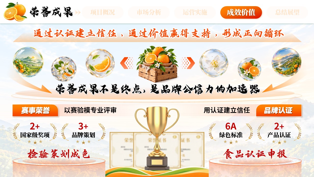 《橙耀山乡，鲜达万家》全国高校商业精英挑战赛第8页预览图