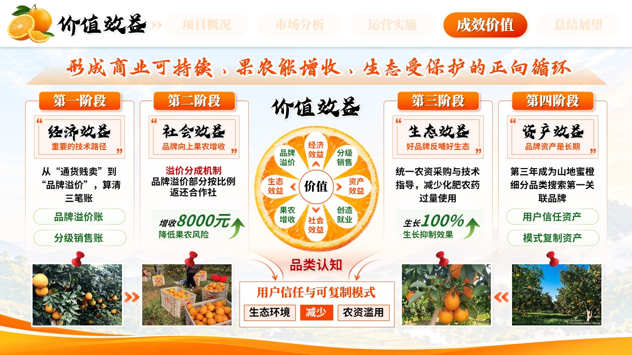 《橙耀山乡，鲜达万家》全国高校商业精英挑战赛第9页预览图
