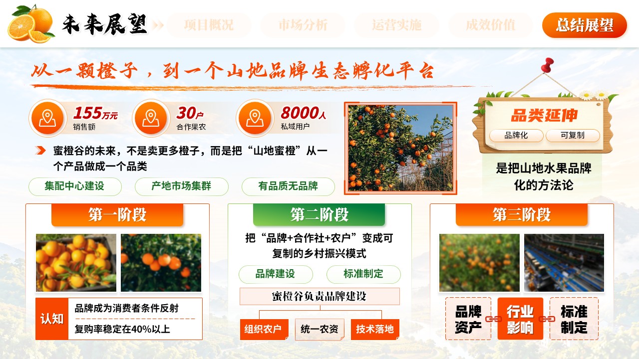 《橙耀山乡，鲜达万家》全国高校商业精英挑战赛第11页预览图