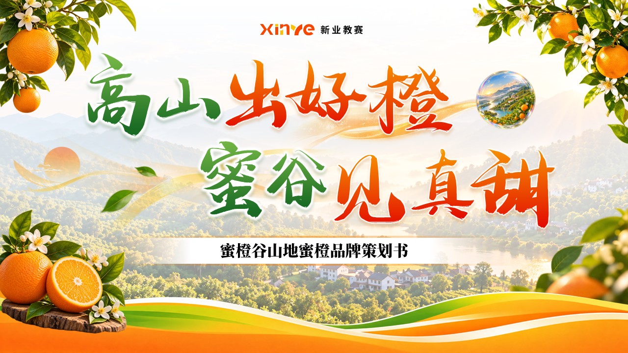 《橙耀山乡，鲜达万家》全国高校商业精英挑战赛第12页预览图