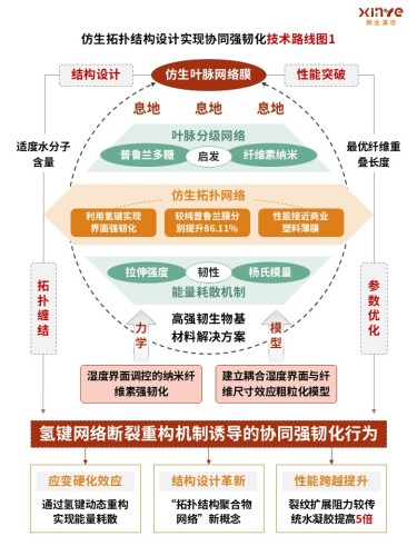 43-1技术路线图(纳米纤维素-红绿黄)