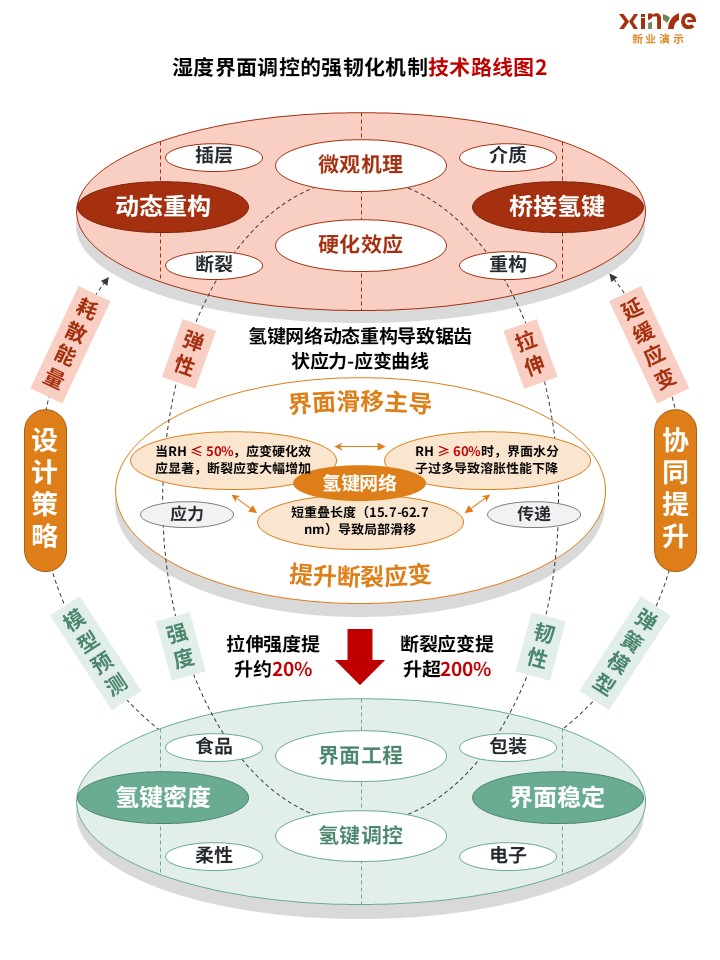 43-1技术路线图(纳米纤维素-红绿黄）第2页预览图