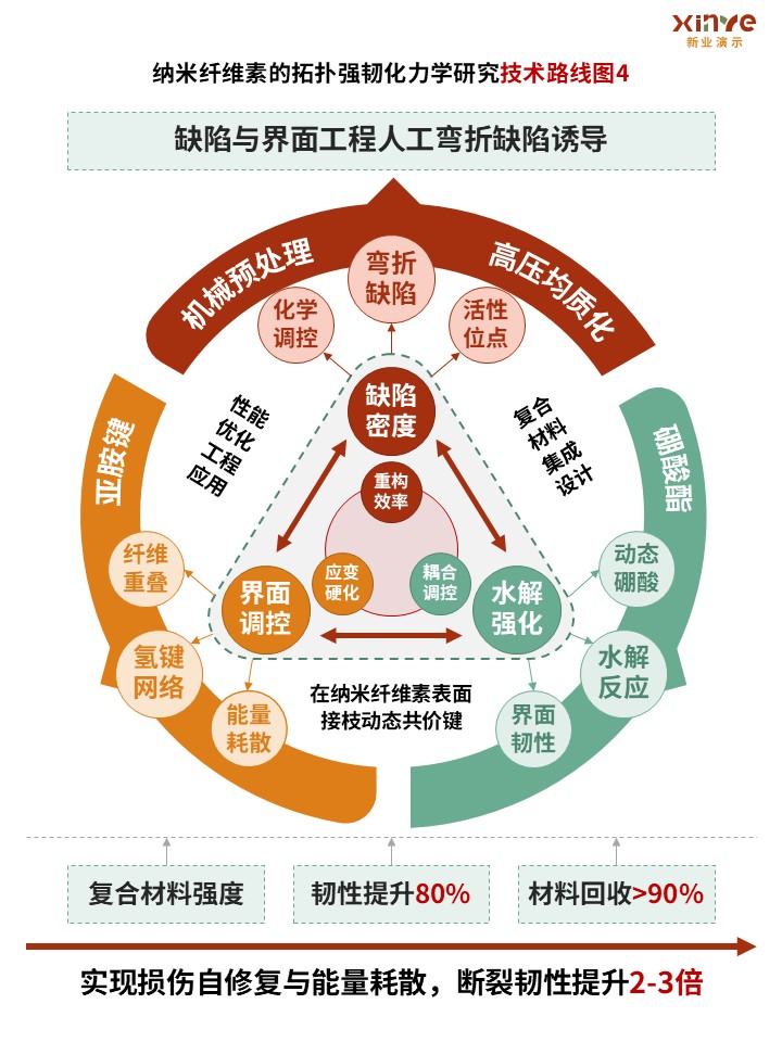 43-1技术路线图(纳米纤维素-红绿黄）第4页预览图