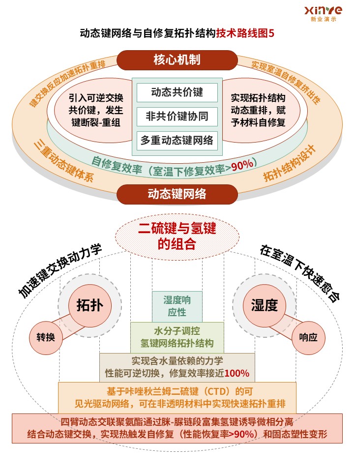 43-1技术路线图(纳米纤维素-红绿黄）第5页预览图