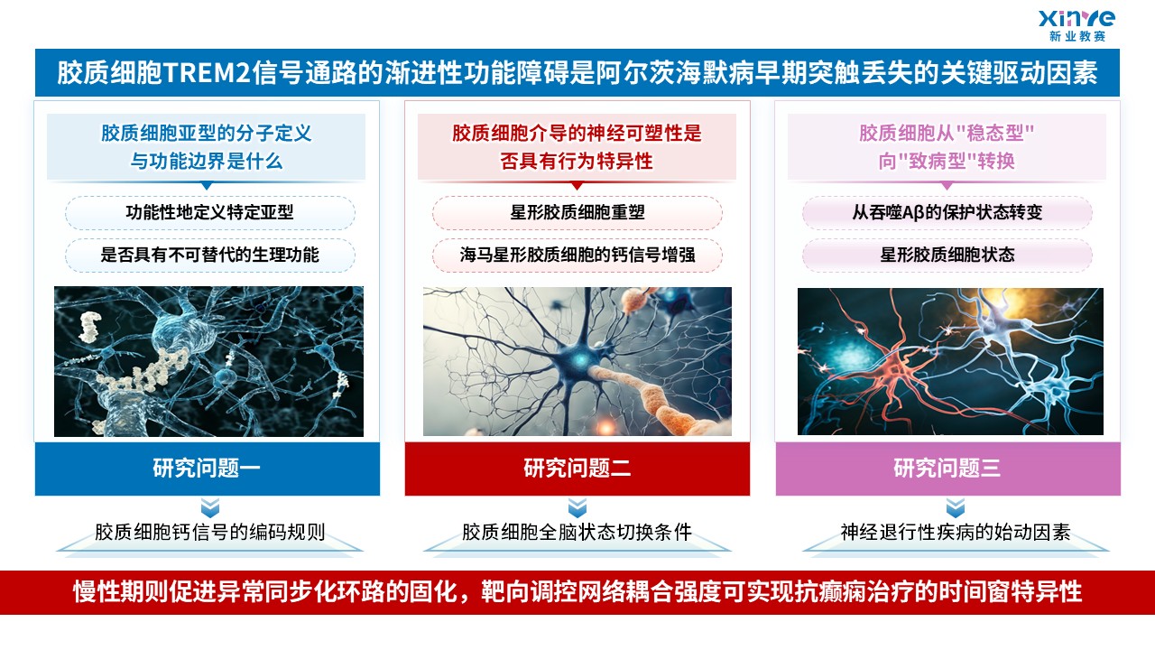 64-1科研绘图（胶质细胞-蓝粉）