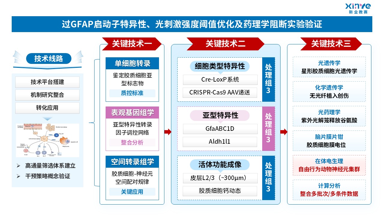 64-1科研绘图（胶质细胞-蓝粉）第4页预览图