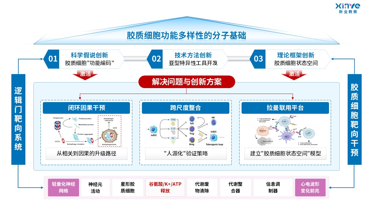 64-1科研绘图（胶质细胞-蓝粉）第5页预览图
