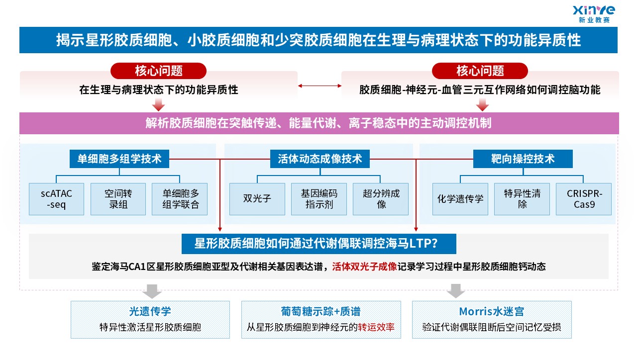 64-1科研绘图（胶质细胞-蓝粉）第6页预览图