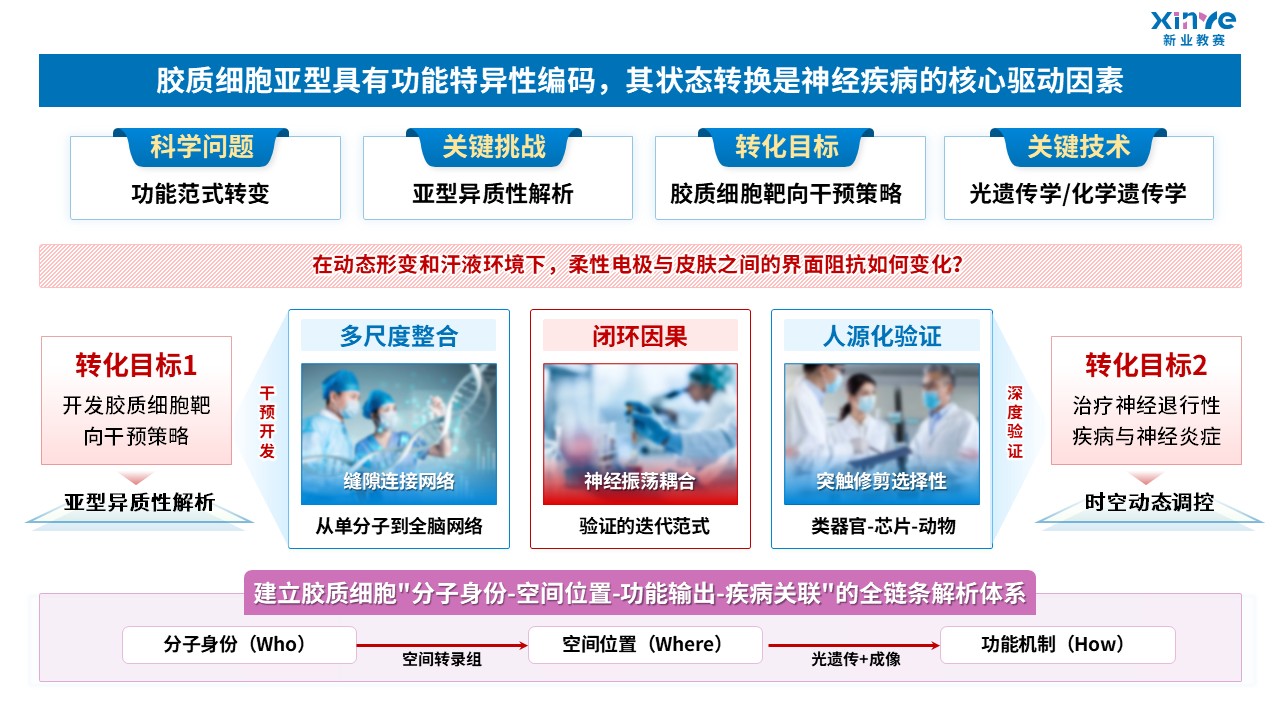 64-1科研绘图（胶质细胞-蓝粉）第8页预览图