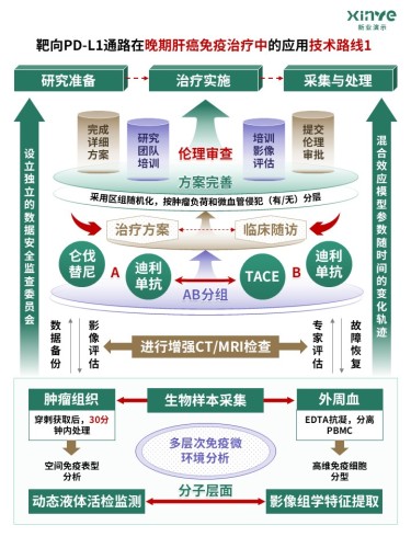 73-2科研架构图 (靶向PD-L1通路-绿棕紫)