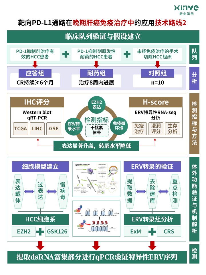 73-2科研架构图 (靶向PD-L1通路-绿棕紫)第2页预览图