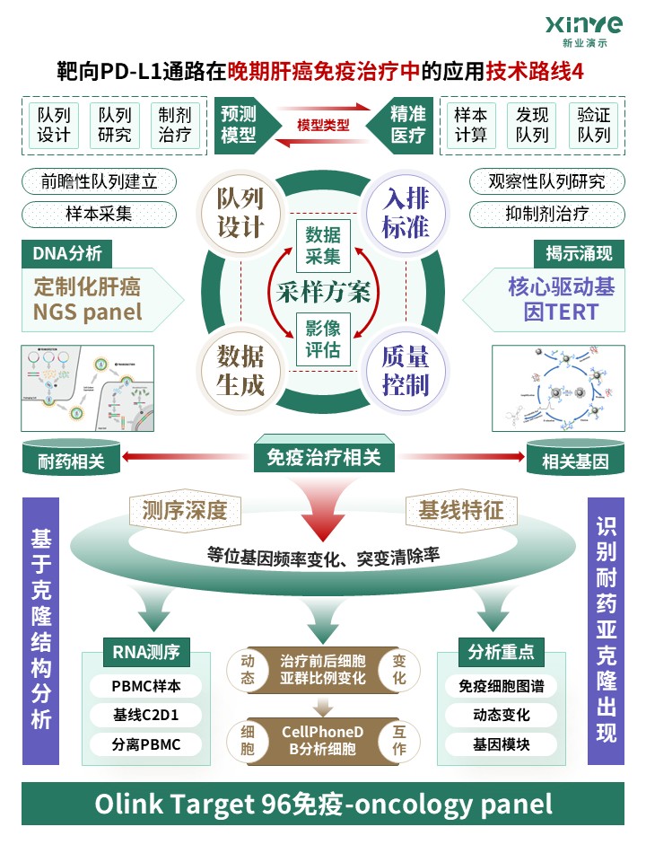 73-2科研架构图 (靶向PD-L1通路-绿棕紫)第4页预览图