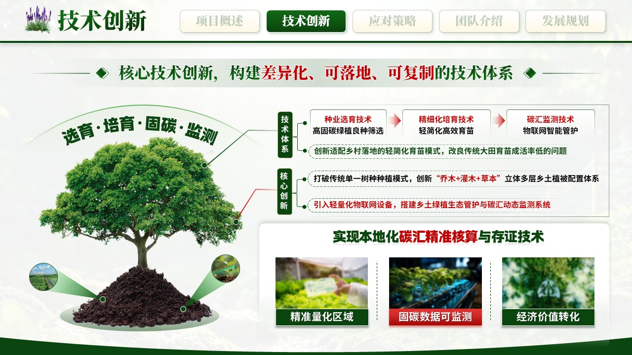 《绿植培育，生态固碳》大创赛第5页预览图