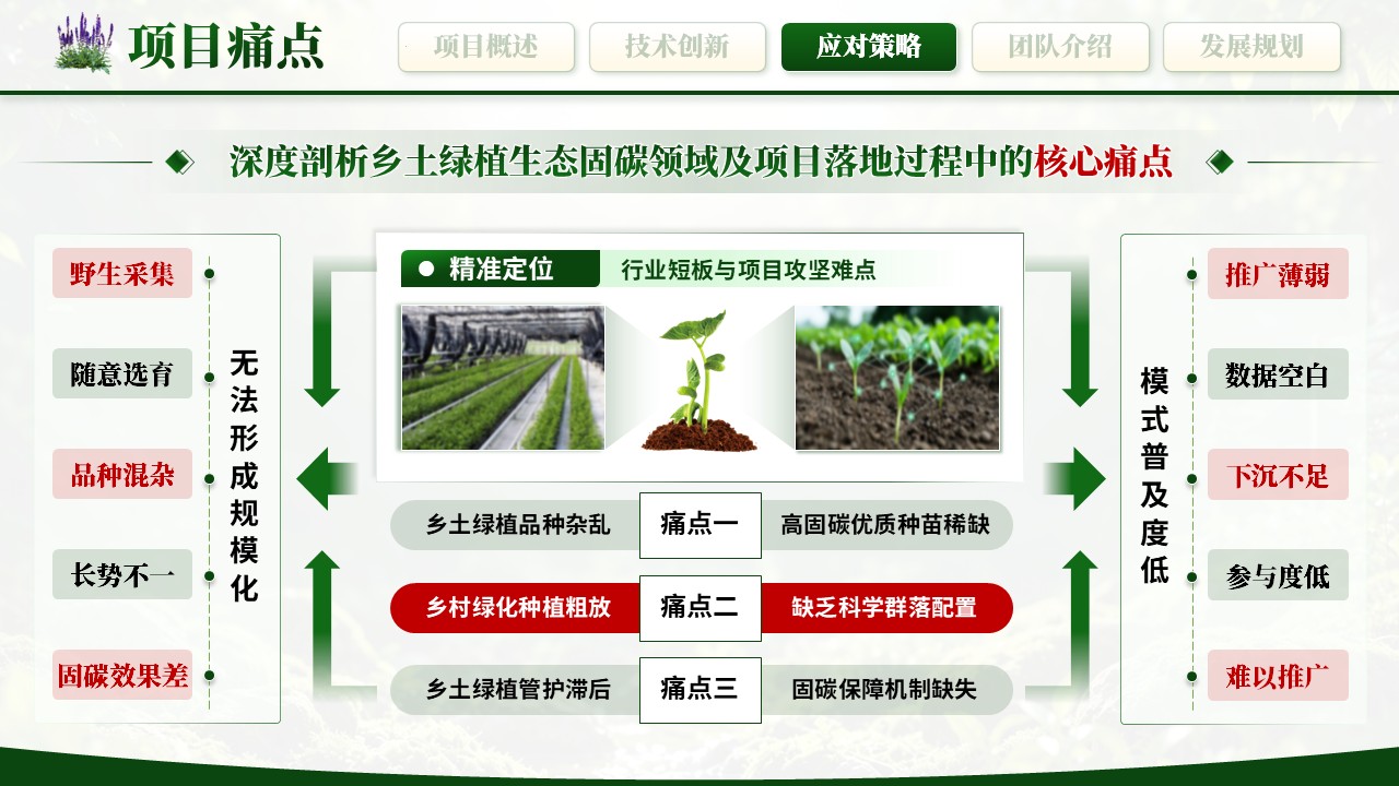 《绿植培育，生态固碳》大创赛第6页预览图
