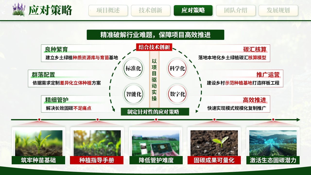 《绿植培育，生态固碳》大创赛第7页预览图